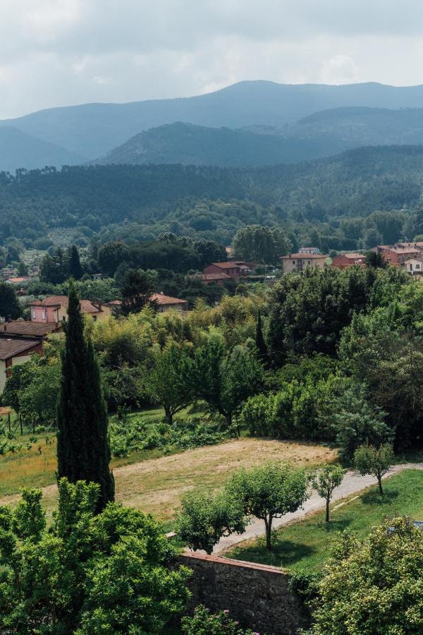 Buonvisi B&B Lucca Exteriör bild